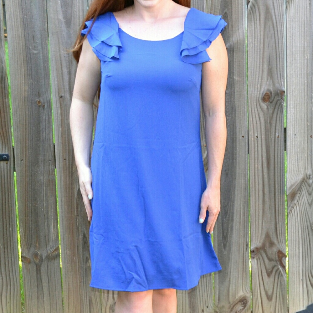 Blue Ruffled Sleeve Dress - Picture 3 of 3
